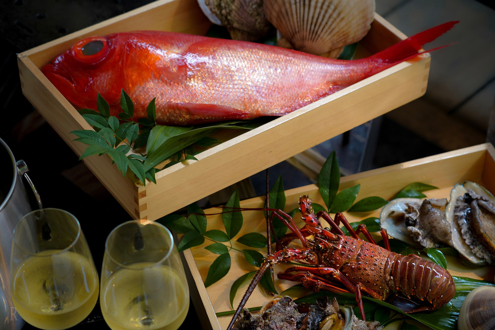 THE BASE GLAMPING ATAMI PREMIER